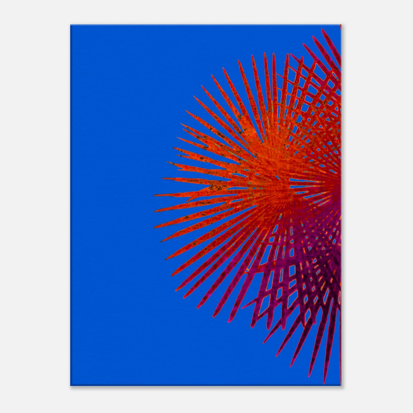 cc9e06c0-f979-4f70-bff6-207f51e9f086