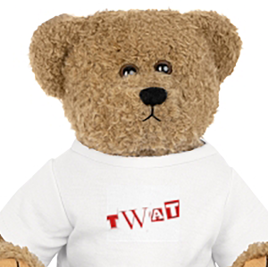 Cheeky Teddies