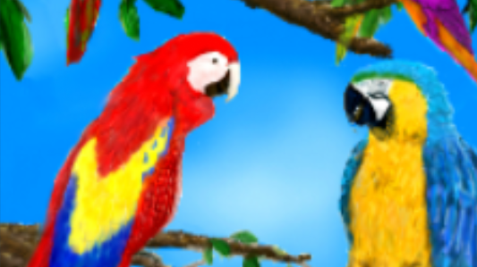 Fit Birds wall art