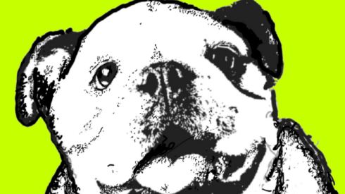 Pup Art