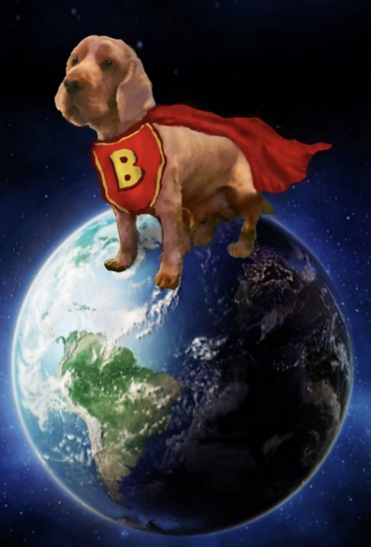 GLOBAL HERO